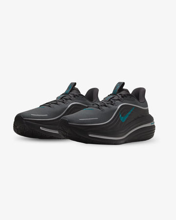 Nike Winflo 12 GORE-TEX