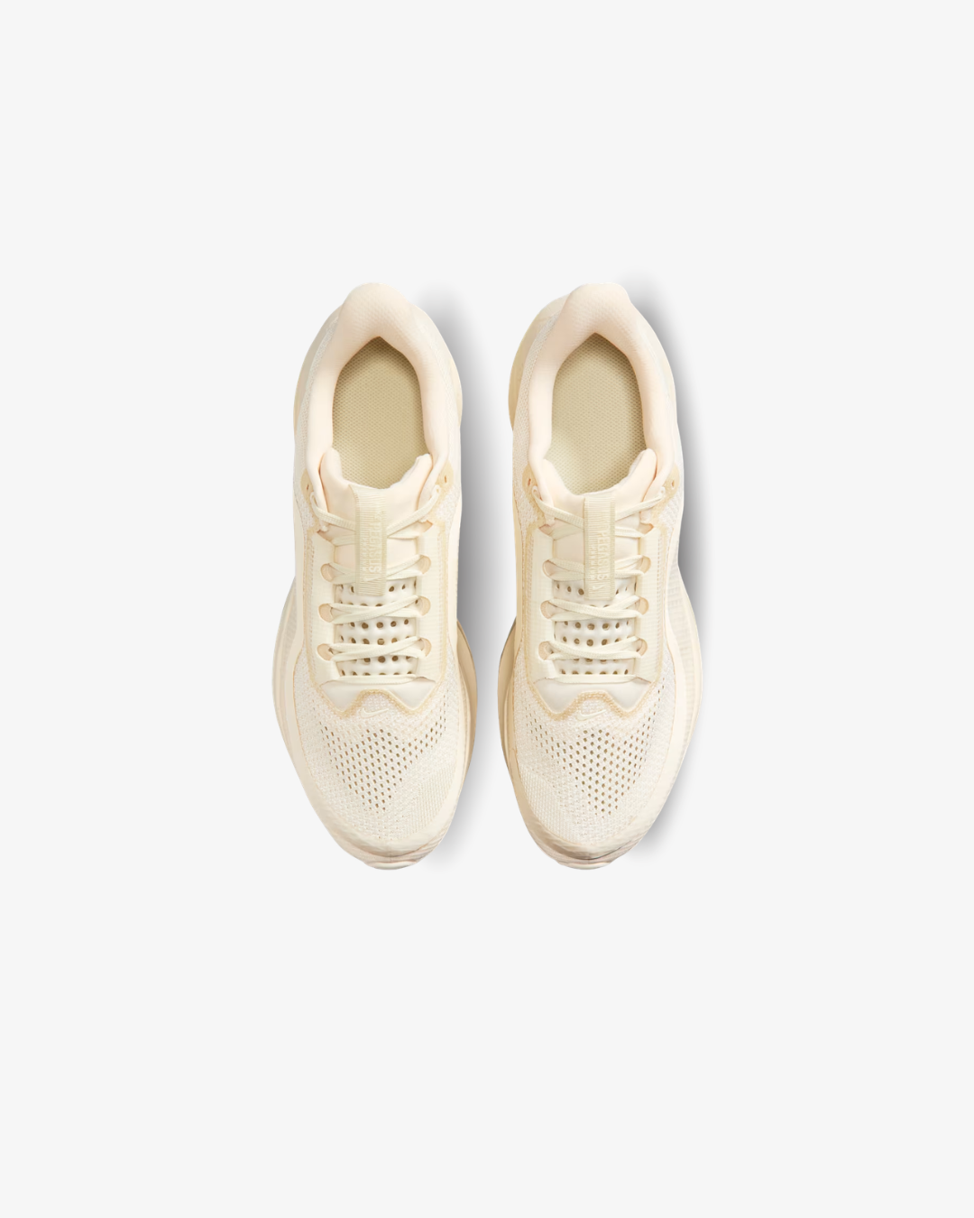 NIKE   Pegasus Premium Natural