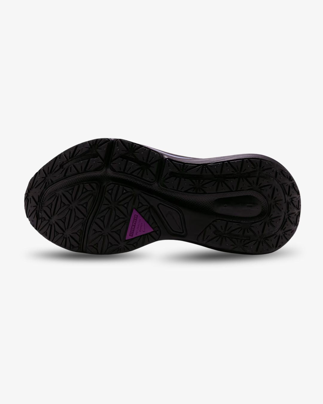 Nike Winflo 12 GORE-TEX