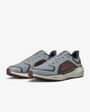 Tenis Nike Pegasus 41 GORE-TEX