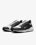 Tenis Nike Pegasus 41 GORE-TEX