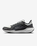 Tenis Nike Pegasus 41 GORE-TEX