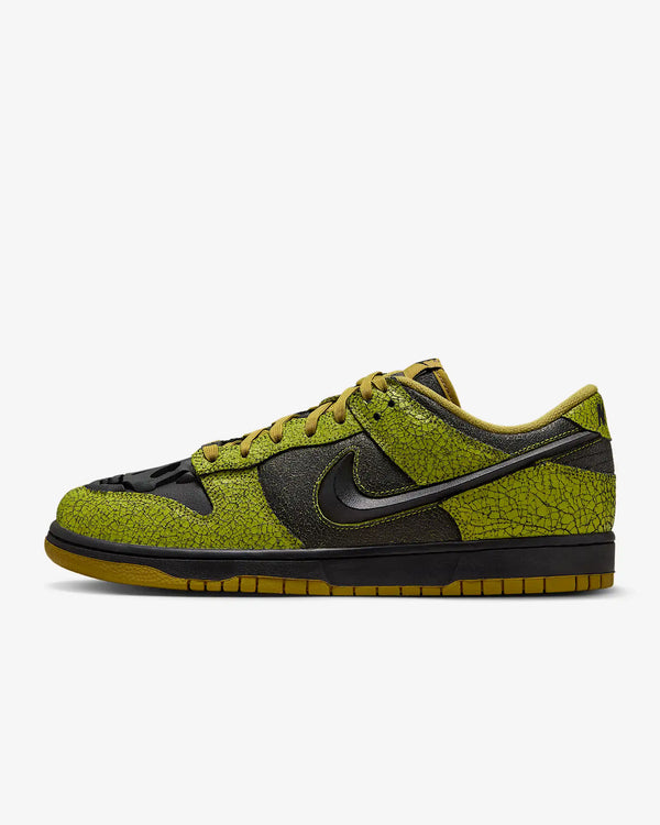 Tenis Nike Dunk Low Retro QS