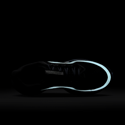 Nike Pegasus Premium Anthracite