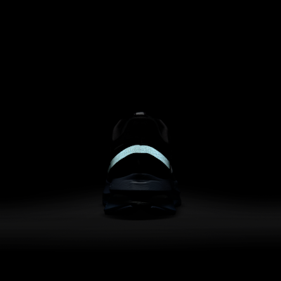 Nike Pegasus Premium Anthracite