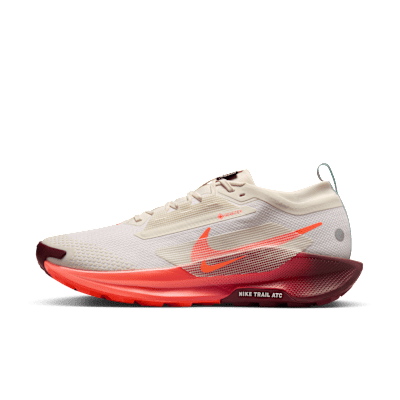 Nike Pegasus Trail 5  GORE-TEX