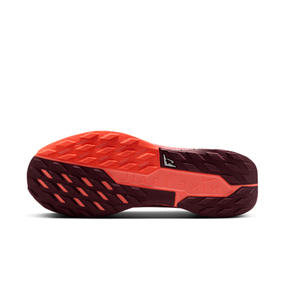 Nike Pegasus Trail 5  GORE-TEX