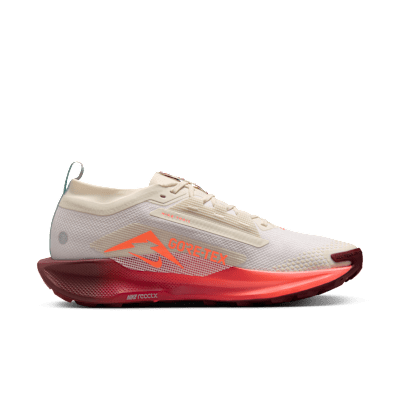 Nike Pegasus Trail 5  GORE-TEX