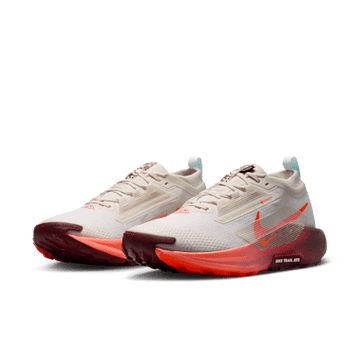 Nike Pegasus Trail 5  GORE-TEX