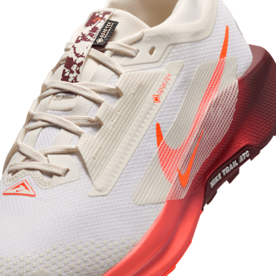 Nike Pegasus Trail 5  GORE-TEX