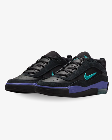 Nike SB Ishod 2