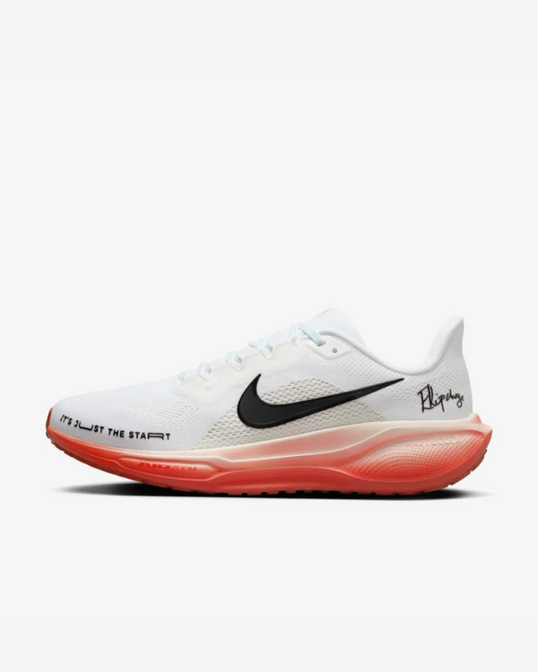 Tenis Nike Air Zoom Pegasus 41